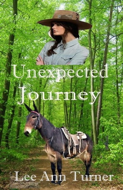 Unexpected Journey, Lee Ann Turner - Ebook - 9798201132729