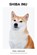 Shiba Inu, DIJK,  Paul Van - Paperback - 9798201164621