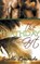 The Birthday Gift, RENARDE,  Giselle - Paperback - 9798201169527