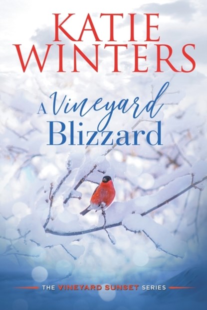 A Vineyard Blizzard, Katie Winters - Paperback - 9798201169619