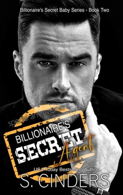 Special Arrangement, S. Cinders - Ebook - 9798201252434