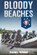 Bloody Beaches, Daniel Wrinn - Paperback - 9798201290719