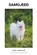 Samojeed, DIJK,  Paul Van - Paperback - 9798201308834