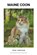 Maine Coon, DIJK,  Paul Van - Paperback - 9798201320836