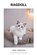 Ragdoll, DIJK,  Paul Van - Paperback - 9798201420529