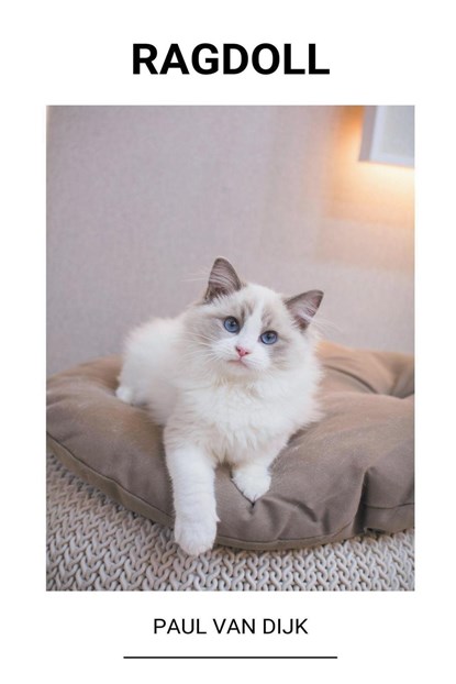 Ragdoll, DIJK,  Paul Van - Paperback - 9798201420529