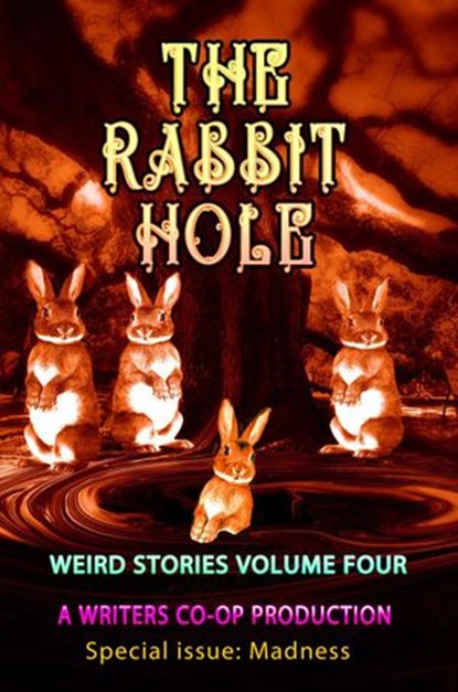 The Rabbit Hole, Tom Wolosz ; Stewart C Baker ; Jetse de Vries ; Nicola Forster ; Gregory J. Wolos ; D.A. Becher ; Isabelle Sanders ; N.C. Krueger ; Megan Carlson ; Dominick Cancilla ; Kevin Brown ; GD Deckard ; David Turnbull ; Jeff Underwood ; D.M. Kerr ; Carol Fenlon ; - Ebook - 9798201579913