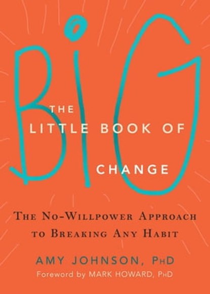The Little Book of Big Change, Amy Johnson - Ebook - 9798201725945
