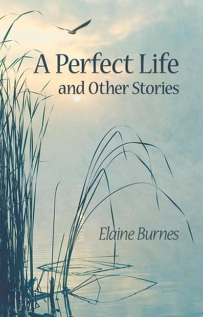A Perfect Life and Other Stories, Elaine Burnes - Ebook - 9798201741945
