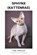 Sphynx (Kattenras), DIJK,  Paul Van - Paperback - 9798201746834