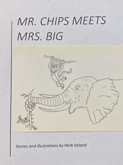Mr. Chips Meets Mrs. Big, Herb Ireland - Ebook - 9798201748210