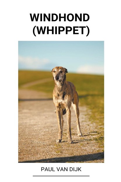 Windhond (Whippet), DIJK,  Paul Van - Paperback - 9798201979645