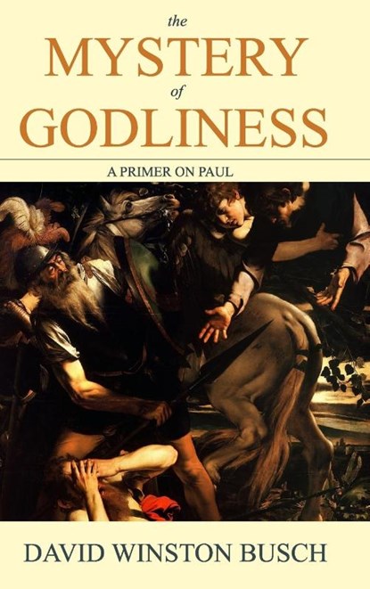 The Mystery of Godliness, David Winston Busch - Gebonden - 9798210383853
