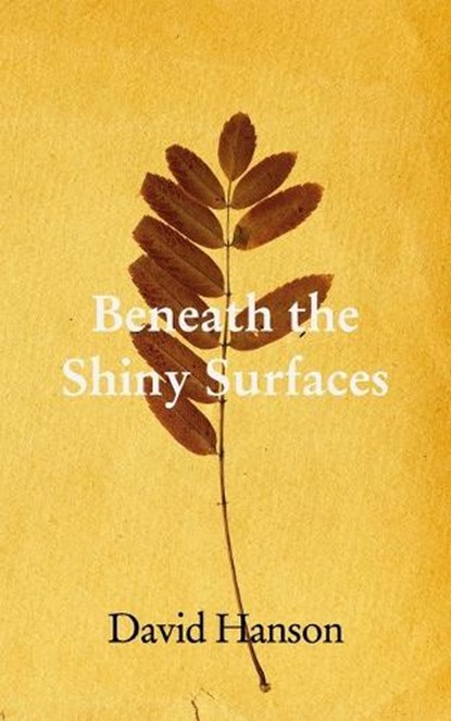 Underneath The Shiny Surfaces, David Paul Hanson - Paperback - 9798211510098