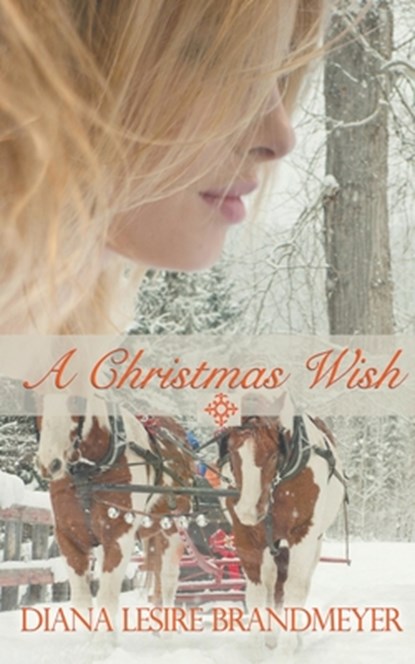 A Christmas Wish, Diana Lesire Brandmeyer - Paperback - 9798215074145