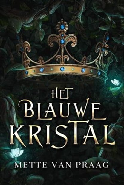 Het blauwe kristal, Mette van Praag - Ebook - 9798215284377