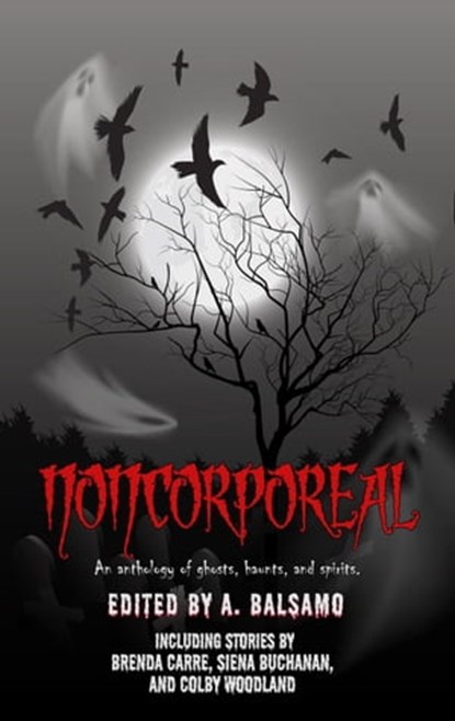 Noncorporeal, A. Balsamo ; Siena Buchanan ; Colby Woodland ; Brenda Carre ; Paige Vest ; Kat Farrow ; Kevin A Davis ; Franco Dispenza ; Tim Lewis ; Mark Beard ; Rosemary Williams ; Ian Alexander Tash ; Joshua Dyer ; Morrigen Stoumbos ; Vincent E.M. Thorn ; Jeff Oliver - Ebook - 9798215385203