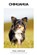 Chihuahua, Paul van Dijk - Paperback - 9798215435113