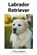 Labrador Retriever, Fynn Hansen - Paperback - 9798215518960