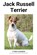 Jack Russell Terrier, Fynn Hansen - Paperback - 9798215520154