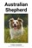 Australian Shepherd, Fynn Hansen - Paperback - 9798215547915