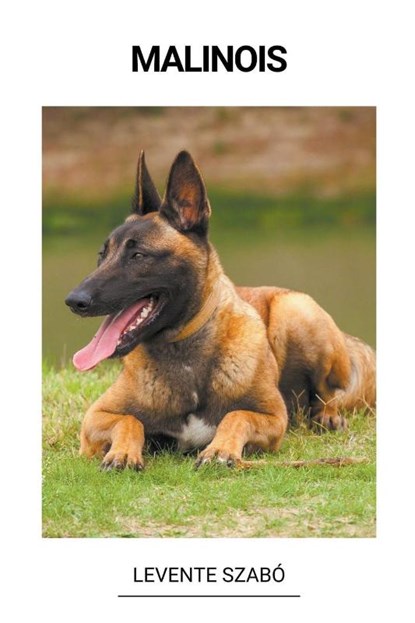 Malinois, Levente Szabó - Paperback - 9798215577998