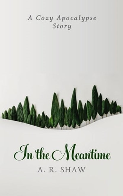 In the Meantime, A. R. Shaw - Ebook - 9798215622087