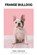 Franse Bulldog, Paul van Dijk - Paperback - 9798215794609