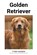 Golden Retriever, Fynn Hansen - Paperback - 9798215876961