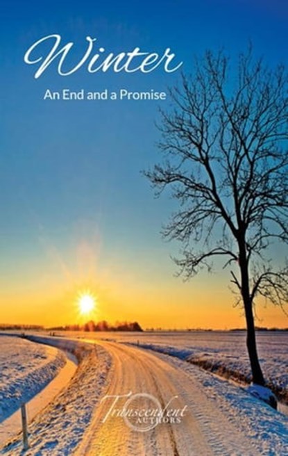 Winter, An End and a Promise, Kathleen Osborne ; Ana Lipster ; Aletta Bee ; Jonathan Byrd ; Dena Linn ; Kevin Urban ; L.K. Blair ; L'Michelle Bleu L'Eau ; Mir-Yashar Sevedbagheri ; Lawrence Urban - Ebook - 9798215914656