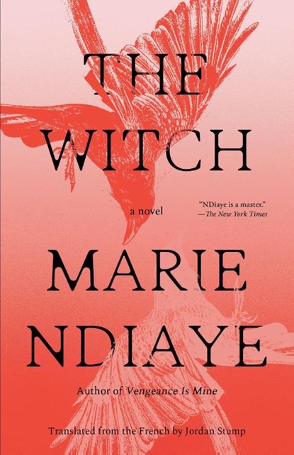 The Witch, Marie NDiaye - Paperback - 9798217006809