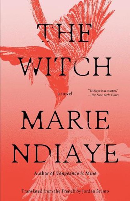 The Witch, Marie NDiaye - Paperback - 9798217006809