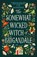 The Somewhat Wicked Witch of Brigandale, C. M. Waggoner - Gebonden - 9798217188239