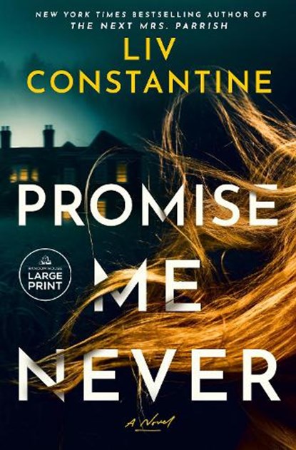 Promise Me Never, LIV Constantine - Paperback - 9798217347728