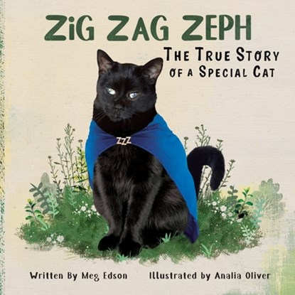 Zig Zag Zeph, Meg Edson - Paperback - 9798218047245