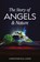 The Story of Angels and Nature, Christopher Paul Carter - Paperback - 9798218064358