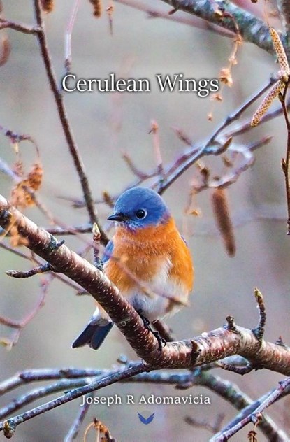 Cerulean Wings, Joseph R. Adomavicia - Paperback - 9798218143206