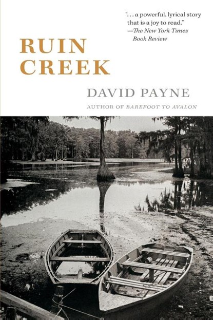 Ruin Creek, David Payne - Paperback - 9798218155186