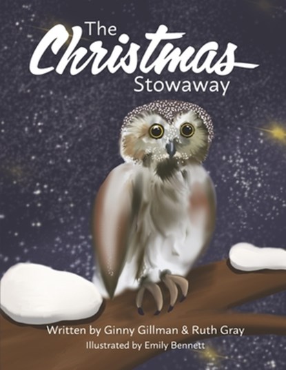 The Christmas Stowaway, Ginny Gillman - Paperback - 9798218236861