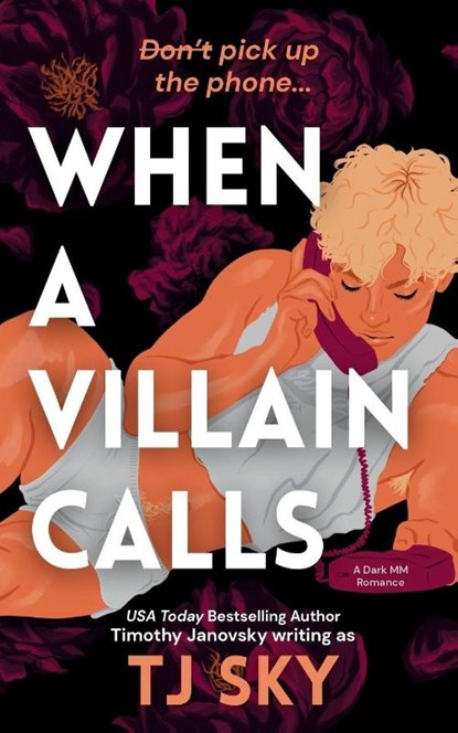 When a Villain Calls, Tj Sky ; Timothy Janovsky - Paperback - 9798218742898