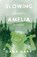 Slowing Down Amelia, Dana Harp - Paperback - 9798218753917