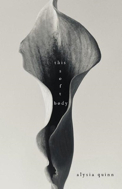 this soft body, Alysia Quinn - Paperback - 9798218884451