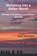 Morphing into a Better World, Mark Vanlaeys - Paperback - 9798218897864