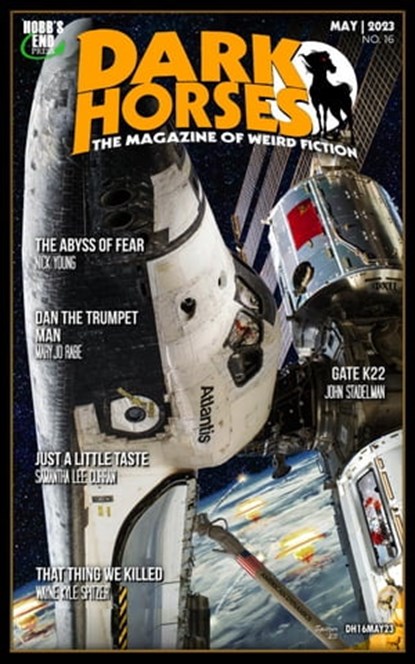 Dark Horses: The Magazine of Weird Fiction | No. 16 | May 2023, Wayne Kyle Spitzer - Ebook - 9798223302360