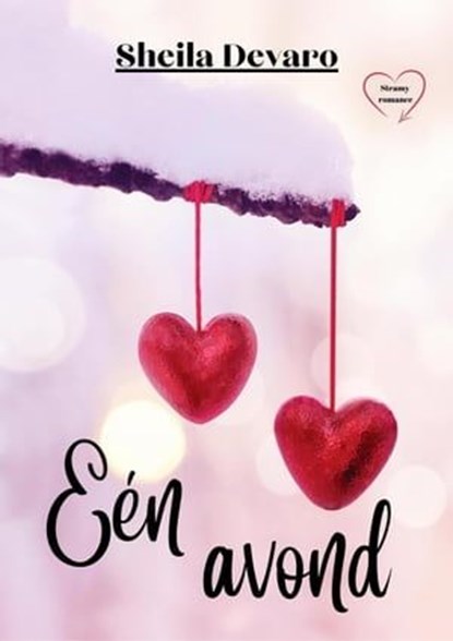 Eén avond, Sheila Devaro - Ebook - 9798223329336