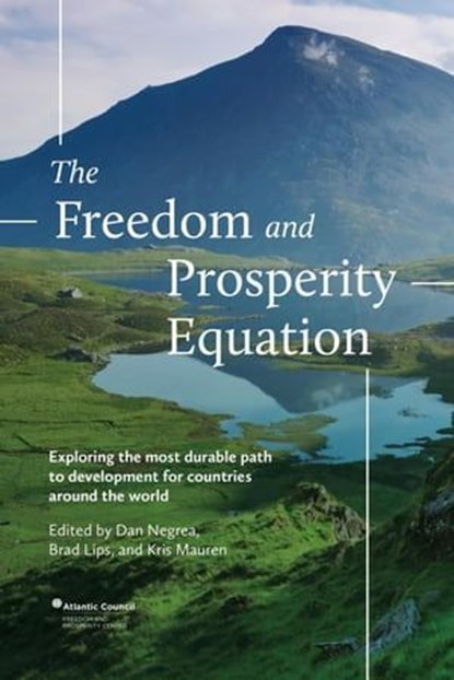 The Freedom and Prosperity Equation, Dan Negrea ; Brad Lips ; Kris Mauren - Ebook - 9798223385714
