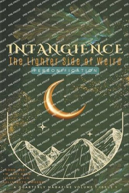 Intangience, M Kari Barr - Paperback - 9798223745280