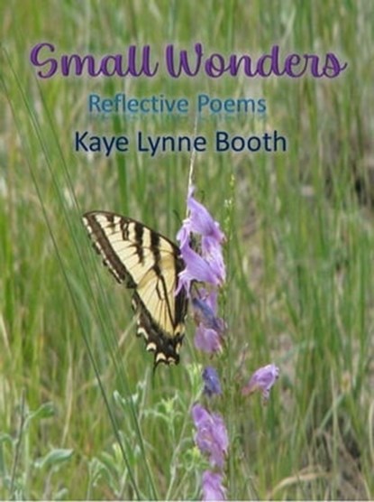 Small Wonders, Kaye Lynne Booth - Ebook - 9798223970521