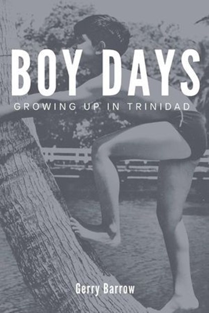 Boy Days, Gerry Barrow - Ebook - 9798224167173