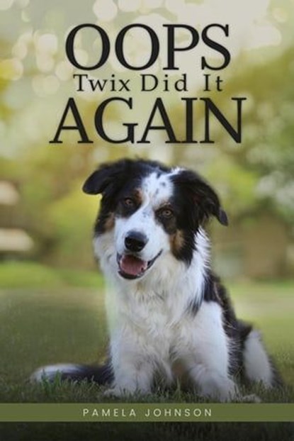 Oops, Twix Did It Again, Pamela Johnson - Ebook - 9798224199228